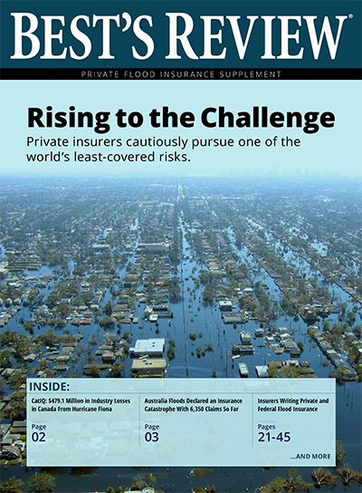 Rising to the Challenge Supplement